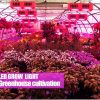 چراغ  رشد گیاهی ZNET2، جایگزینی 500 وات HPS، طیف کامل قرمز/آبی/UV/IR/ لامپ رشد هیدروپونیک - Image 9