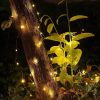 ریسه رشته ای سیم مسی با جعبه باتری و ریموت (رشته ال ای دی 10 متری) - Image 5