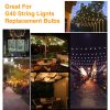 لامپ LED G40 Globe جایگزین ، 0.6W، سفید گرم، 2700K، قابل تنظیم، پایه E12 Candelabra، 220 ولت (25 عددی) - Image 5